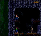 Blackthorne