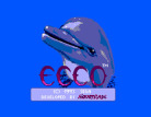 Ecco the Dolphin