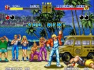 Fatal Fury