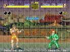 Fatal Fury