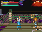 Final Fight CD