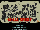 Ninja Spirit