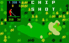 Chip Shot: Super Pro Golf