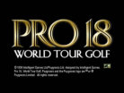 Pro 18 World Tour Golf