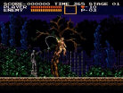 Castlevania Chronicles