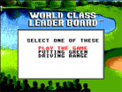 World Class Leader Board