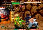 Samurai Shodown