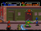 Teenage Mutant Ninja Turtles: The Hyperstone Heist