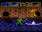 Teenage Mutant Ninja Turtles: The Hyperstone Heist