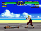 Virtua Fighter