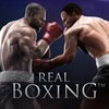 Real Boxing