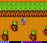 Blaster Master: Enemy Below