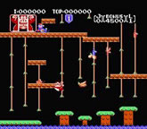 Donkey Kong Jr. (Nintendo)