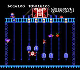 Donkey Kong Jr. (Nintendo)