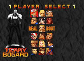 Real Bout Fatal Fury