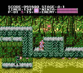 Ninja Gaiden