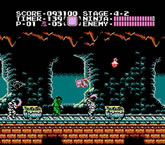 Ninja Gaiden