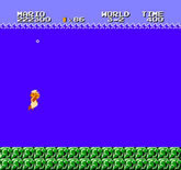 Super Mario Bros.: The Lost Levels (Nintendo)