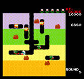 Dig Dug